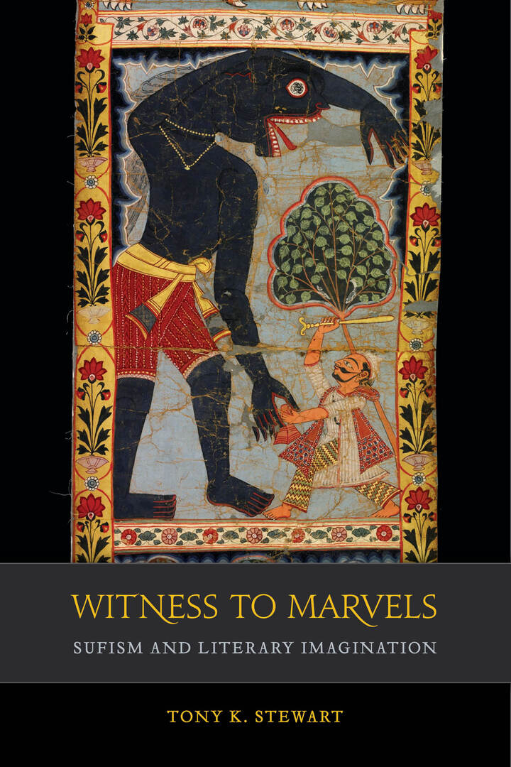 Cover image for Witness to Marvels ISBN 9780520306332
